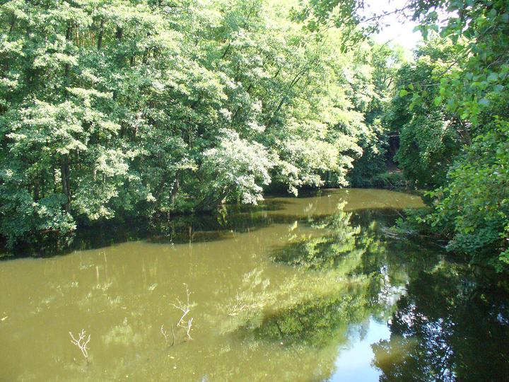 Gwda — rzeka Gwda