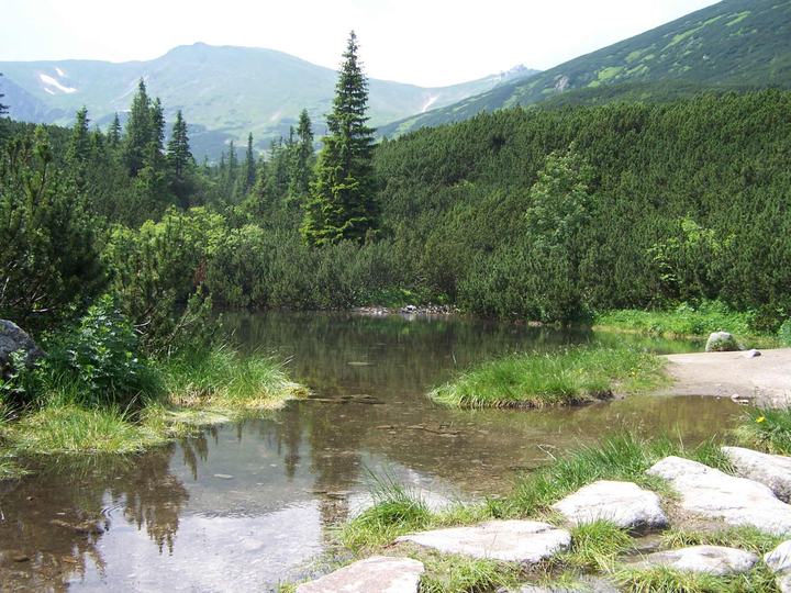 Hala Gąsienicowa i Murowaniec — Hala Gąsienicowa (Tatra Mountains)