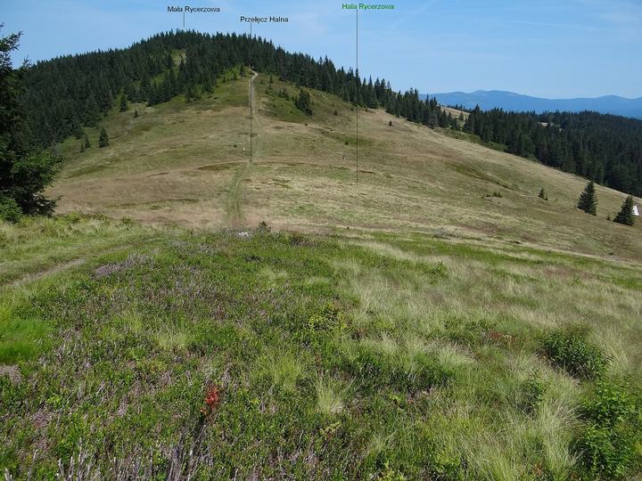 Hala Rycerzowa i Wielka Rycerzowa