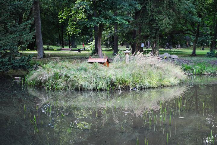 Iłowa — Iłowa (woj. lubuskie). Zespół pałacowo-parkowy w Iłowej. Ogród japoński