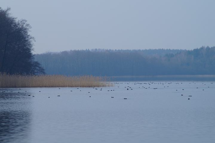 Ińsko — This is a photograph of a Natura 2000 protected area with ID