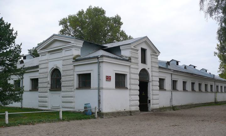 Janów Podlaski – stadnina koni arabskich