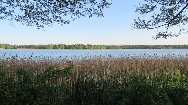 Jezioro Białe i Okuninka koło Włodawy — Jezioro Białe (Okuninka, pow. włodawski, woj. lubelskie, Polska).