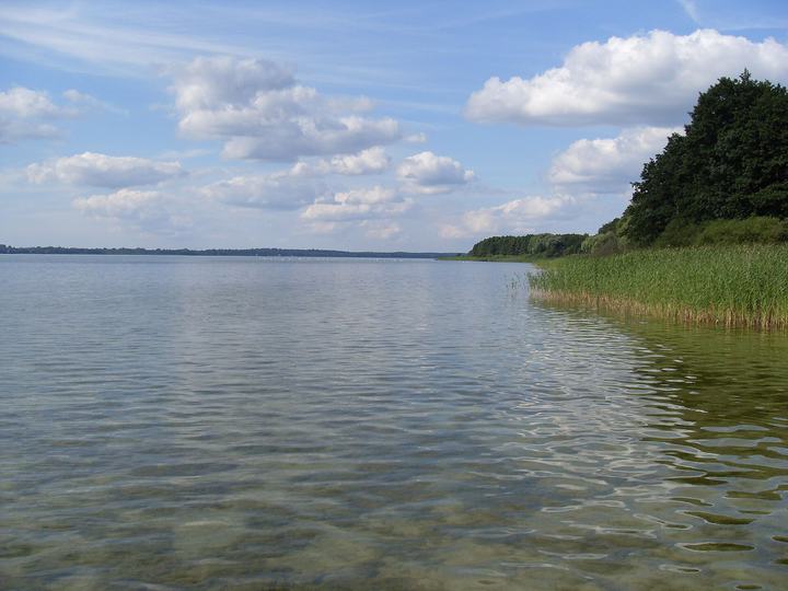Jezioro Miedwie pod Stargardem