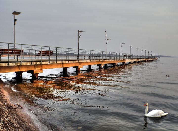 Jezioro Miedwie pod Stargardem — Jezioro Miedwie
