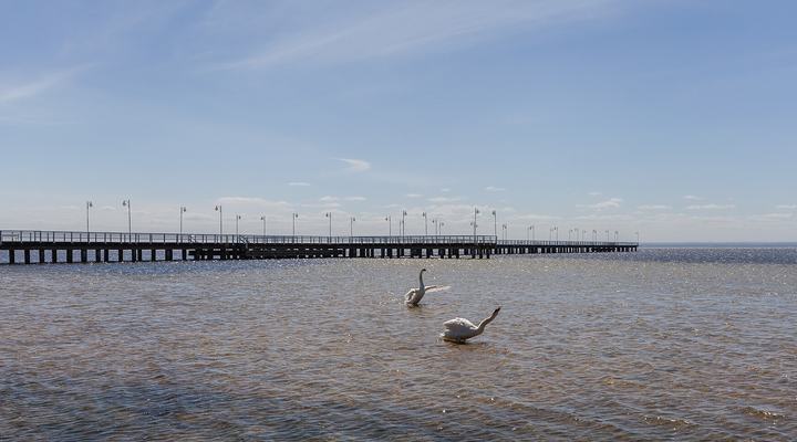 Jurata i Jastarnia — Promenade pier of Jurata, Hel Peninsula, Poland