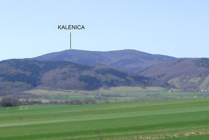 Kalenica — Grzbiet pasma Gór Sowich w Sudetach Środkowych, w środkowj części grzbietu wzniesienie Kal