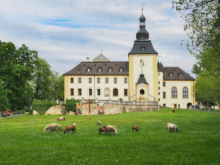 Kamień Śląski — Kamień Śląski, Pałac w Kamieniu Śląskim