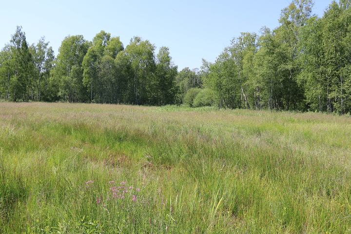 Kampinoski Park Narodowy — Kampinoski Park Narodowy