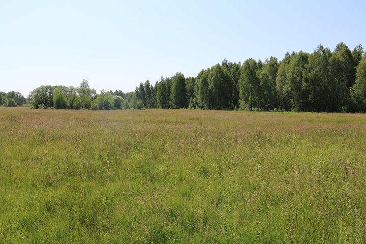 Kampinoski Park Narodowy — Kampinoski Park Narodowy