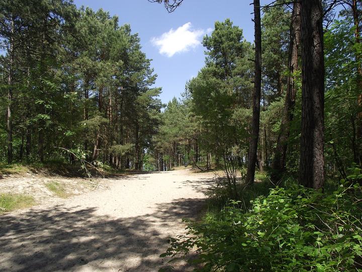 Kąty Rybackie — Kąty Rybackie - droga na plażę