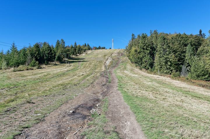 Klimczok i Szyndzielnia z Bielska — Klimczok summit in the Silesian Beskids
