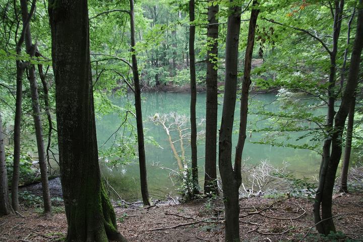 Bieszczady Zachodnie – spokojnie