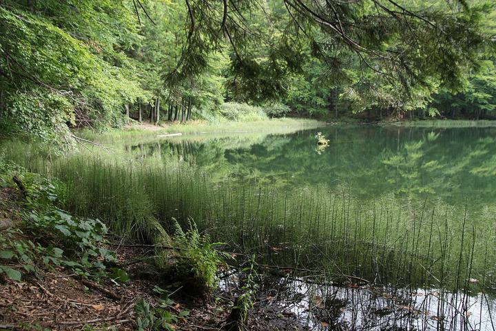 Komańcza i Jeziorka Duszatyńskie — Duszatyn Lakes.