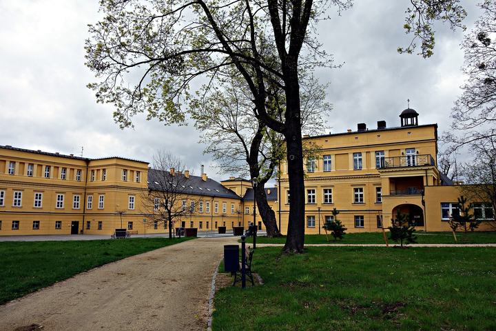 Koszęcin — Koszęcin, Pałac w Koszęcinie