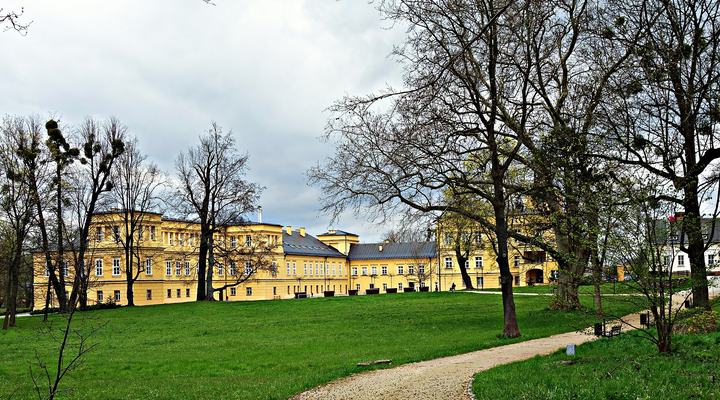 Koszęcin — Koszęcin, Pałac w Koszęcinie