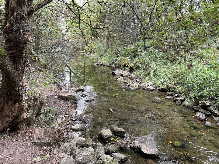 Kruklanki — Kruklanki, rzeka Sapina
