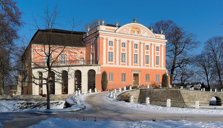 Kurozwęki – pałac i safari z bizonami