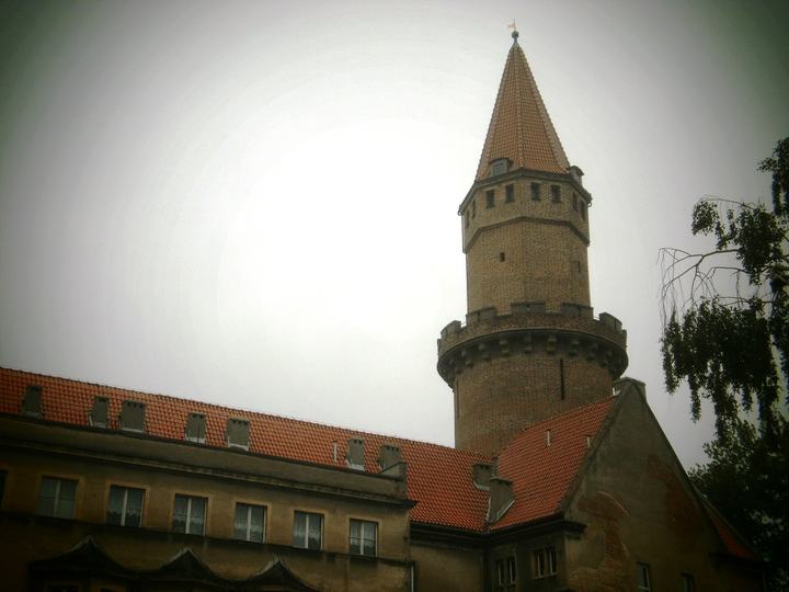 Legnica — Legnica, zamek piastowski, XIII, XIX