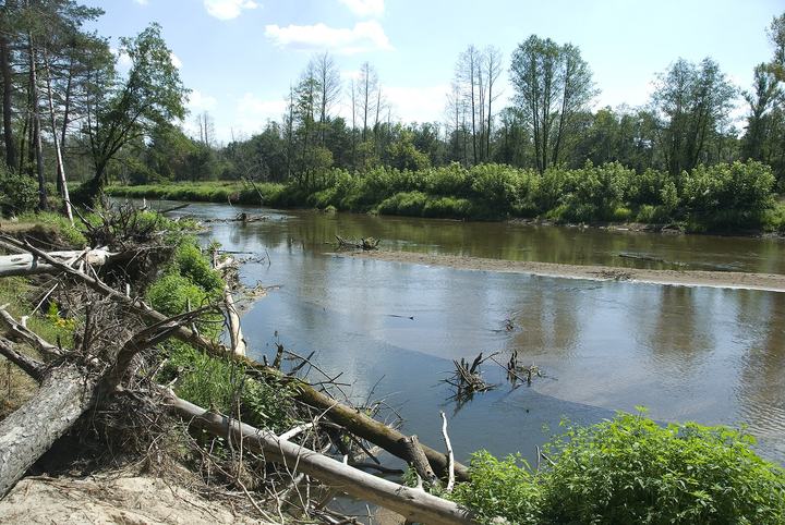 Liwiec — Rzeka Liwiec
