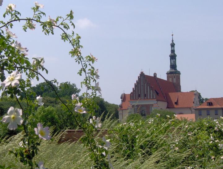 Lubiń — Lubiń - zespół opactwa benedyktynów z XII-XX w. (zabytek nr 202/Wlkp/A)