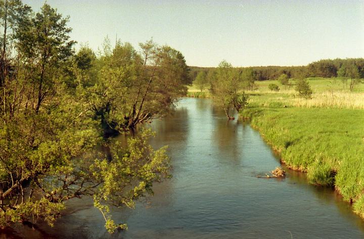 Łupawa – spływ kajakowy