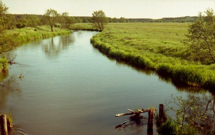 Łupawa — Łupawa koło Stoicina