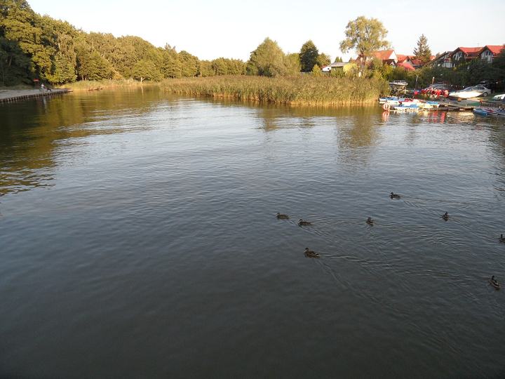 Łupawa — Rowy; rzeka Łupawa