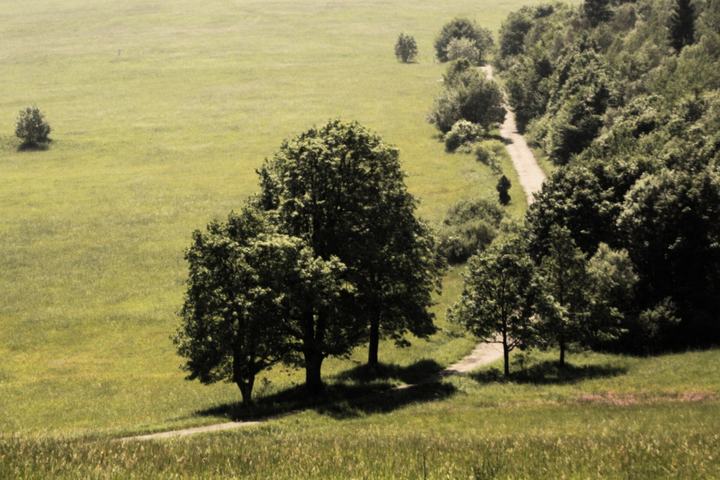 Magurski Park Narodowy i Krempna