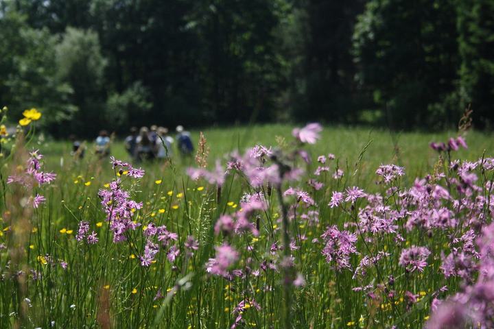 Magurski Park Narodowy i Krempna — This is a photograph of a Natura 2000 protected area with ID