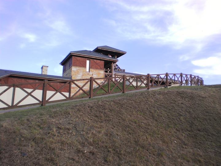 Mikołów — Śląski Ogród Botaniczny, Sosnowa, Mikołów