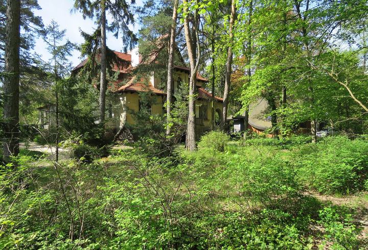 Milanówek — Milanówek, ogród przed willą Ostromir (Q30071935)
