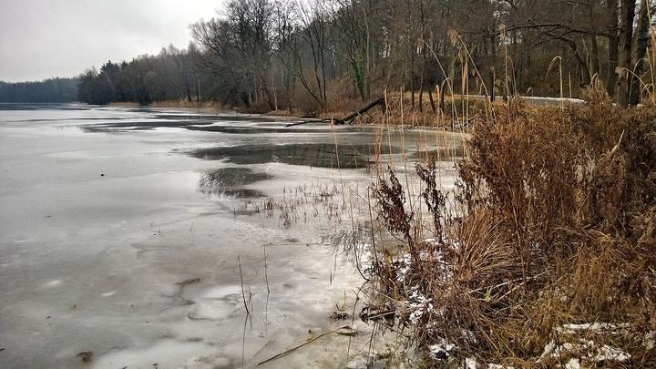 Moryń — Moryń, Poland