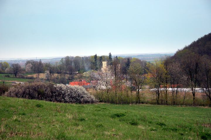 Myślibórz — Myślibórz