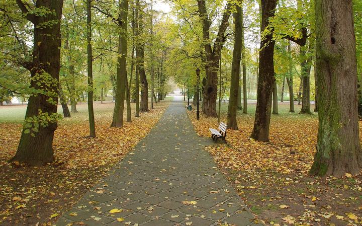 Nałęczów — miasto Nałęczów