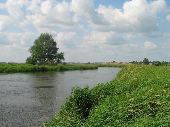 Nida — Nida w okolicy Kobylnik, powiat buski (przybliżona lokalizacja: 50°22'57.8"N 20°38'56.7"E)