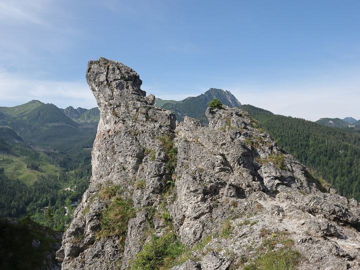 Nosal — Jedna ze skał przy szlaku z Murowanicy na Nosal.