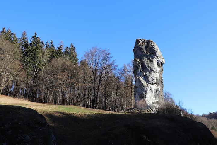 Ojców i Pieskowa Skała — Sułoszowa - Hercules' Club rock