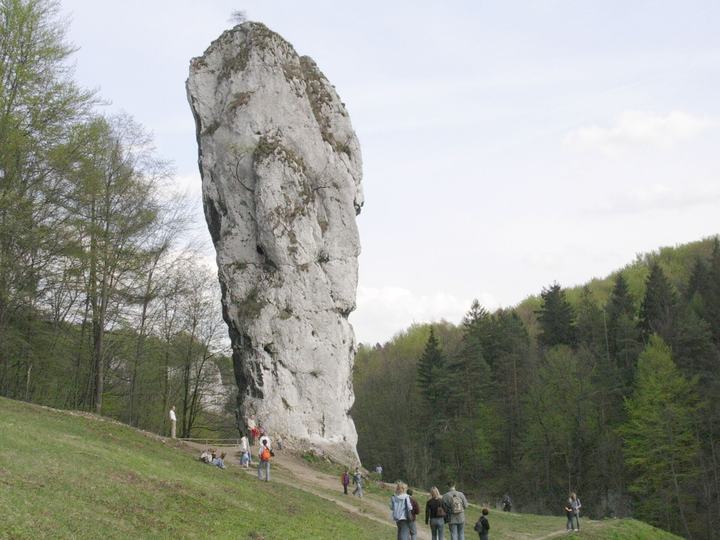 Ojców i Pieskowa Skała — Maczuga Herkulesa not far from Castle Pieskowa Skała, Ojcowski National Park, Poland – vie
