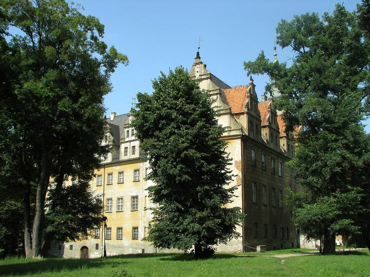 Oleśnica — Oleśnica Castle.