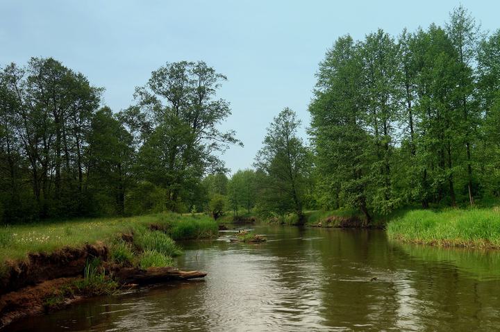Omulew — This is a photograph of a Natura 2000 protected area with ID