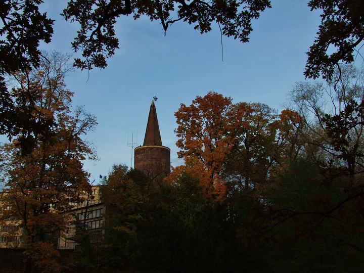 Opole — Wieża Piastowska w Opolu