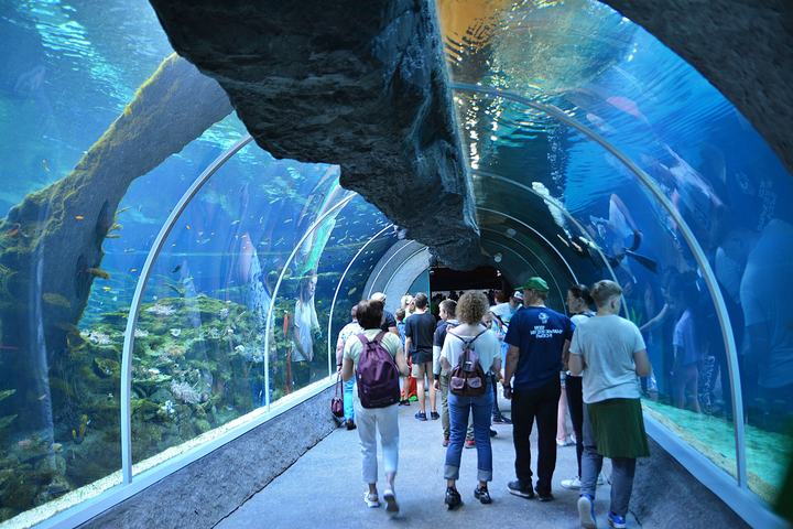 Orientarium Zoo Łódź — Tunel w łódzkim Orientarium