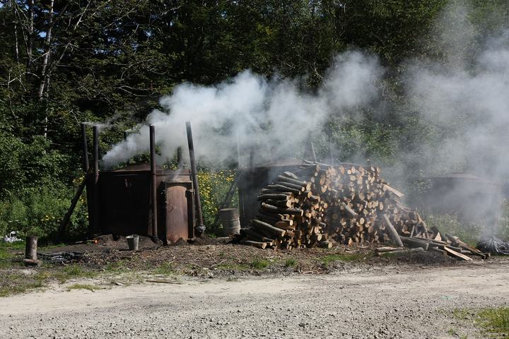 Otryt – dzikie pasmo Bieszczadów