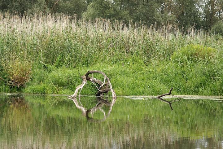 Park Narodowy „Ujście Warty” — Postomia River, the 'Wetlands' trail near Kostrzyn nad Odrą, Ujście Warty National Park