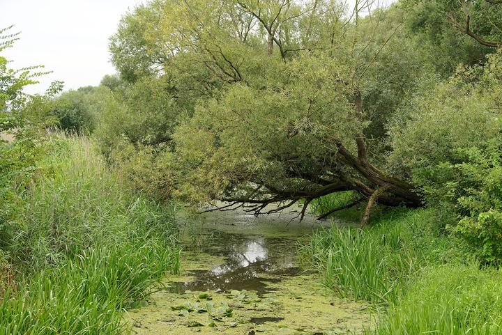Park Narodowy „Ujście Warty” — The 'Wetlands' trail near Kostrzyn nad Odrą, Ujście Warty National Park