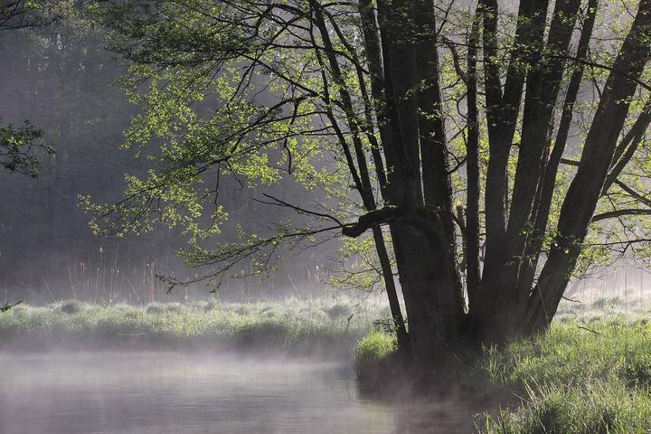 Pasłęka – dzika rzeka Warmii