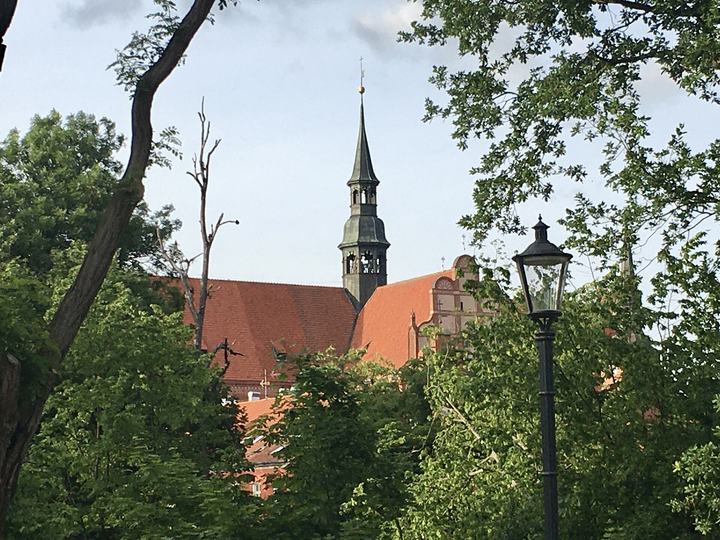 Pelplin — Katedra w Pelplinie, sygnaturka