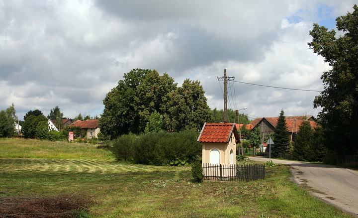 Pieniężno – muzeum misyjne i dolina Wałszy