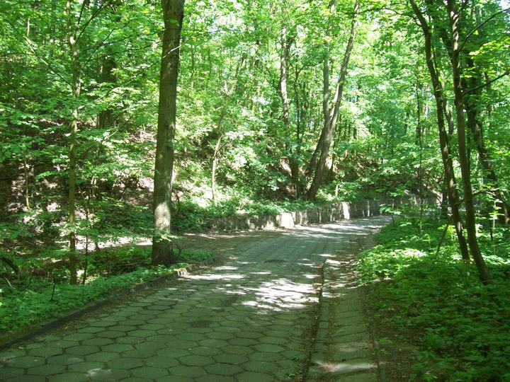 Pierścień Rowerowy wokół Poznania — Wielkopolska National Park in the summer, Puszczykowo Mountains reservation